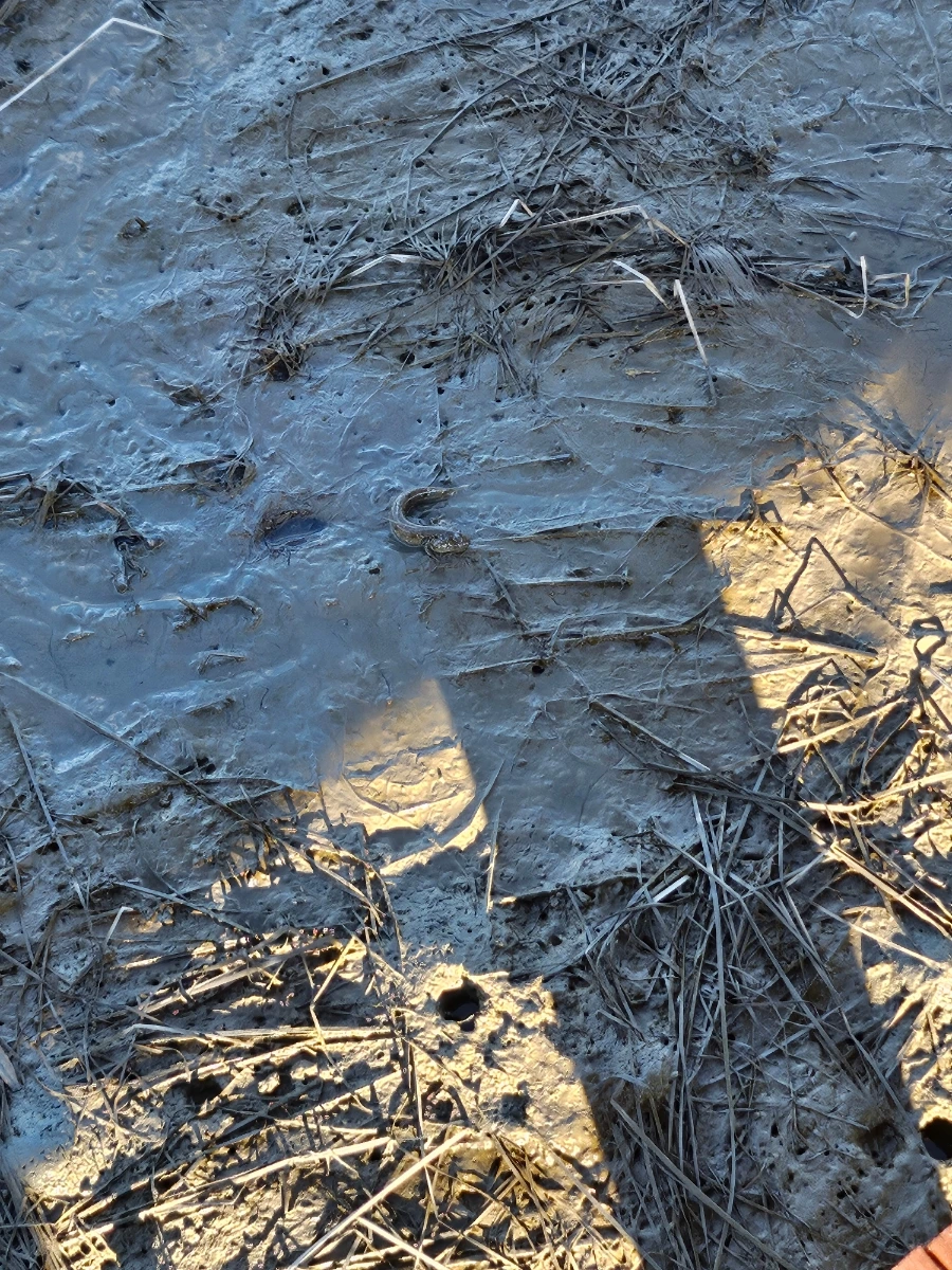 20241004%EF%BC%BF163620.jpg?type=w966