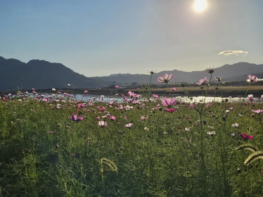 20241004%EF%BC%BF171209.jpg?type=w966