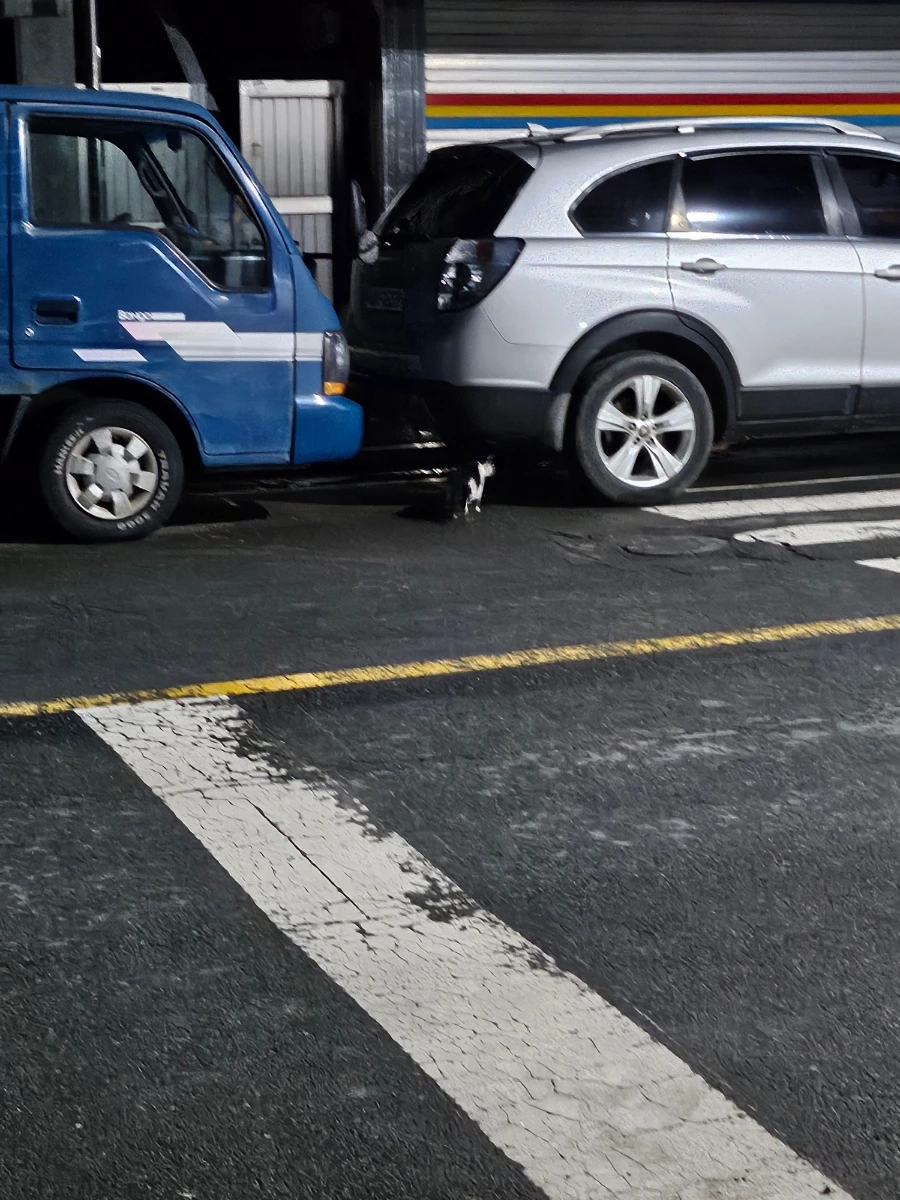 20241006%EF%BC%BF195930.jpg?type=w966