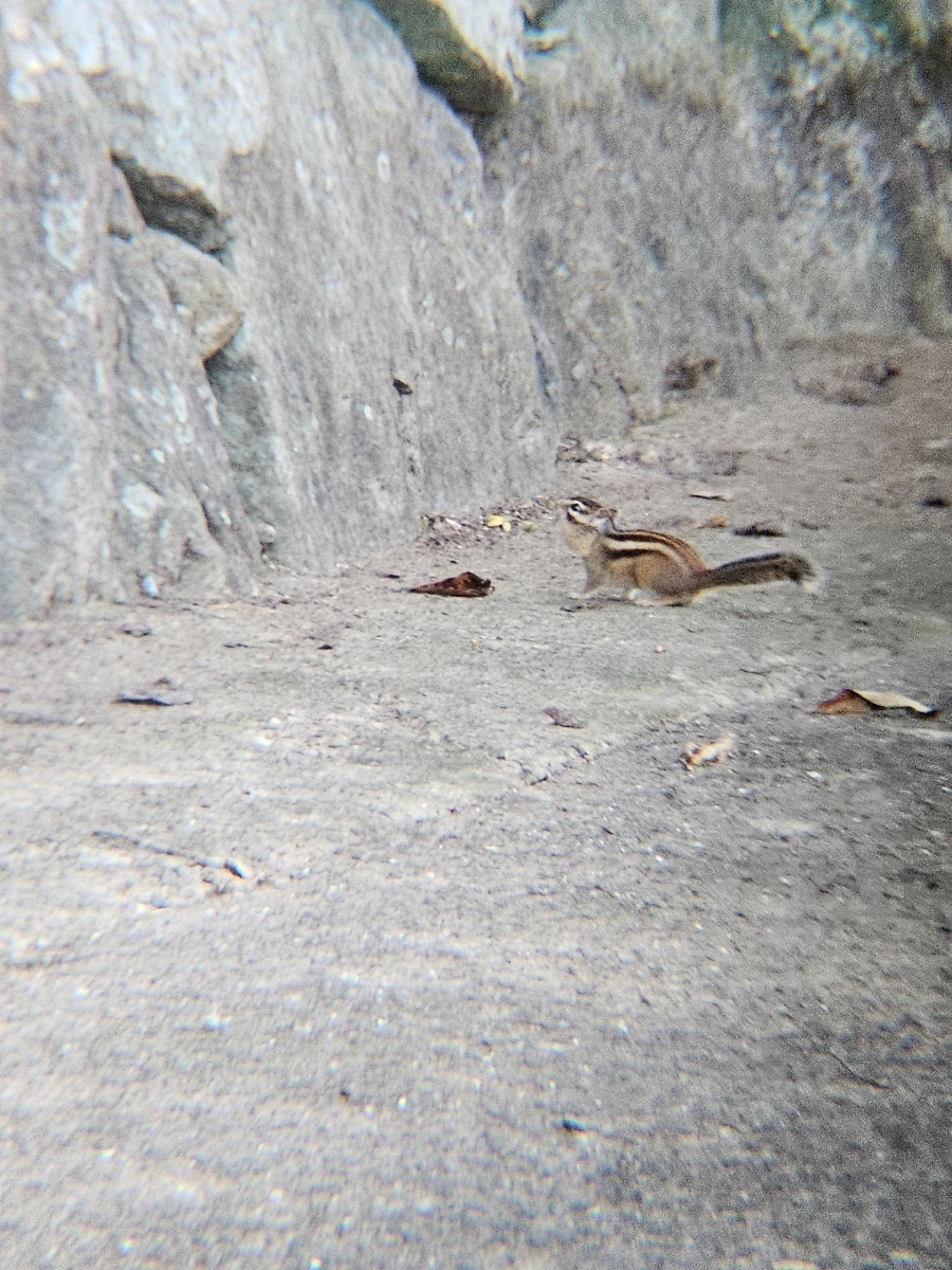 20241026%EF%BC%BF162822.jpg?type=w966