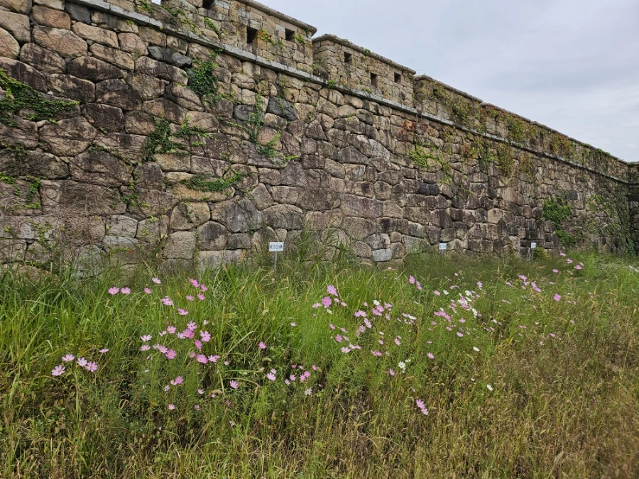 20241006%EF%BC%BF123621.jpg?type=w966