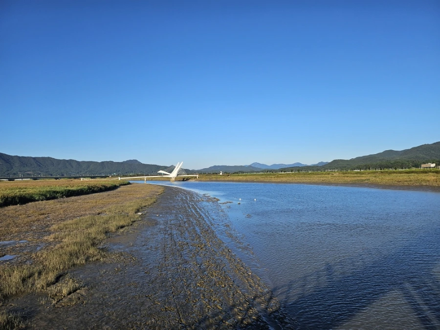 20241004%EF%BC%BF165156.jpg?type=w966