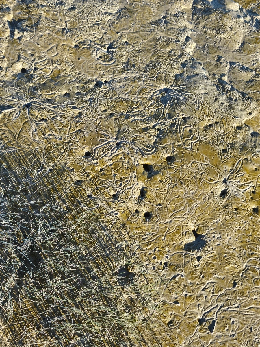 20241004%EF%BC%BF165112.jpg?type=w966