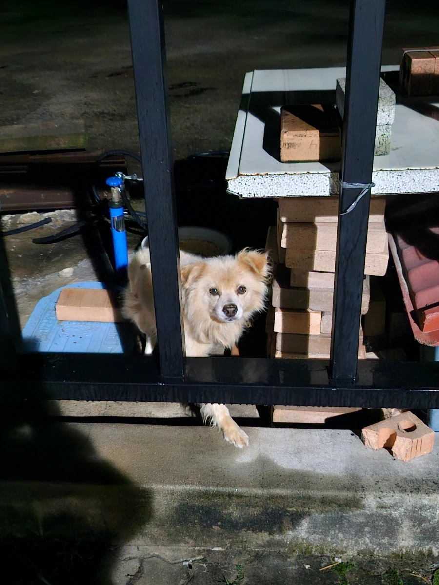 20241003%EF%BC%BF210711.jpg?type=w966