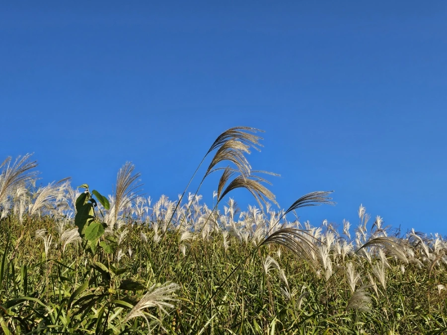 20241024%EF%BC%BF165010.jpg?type=w966