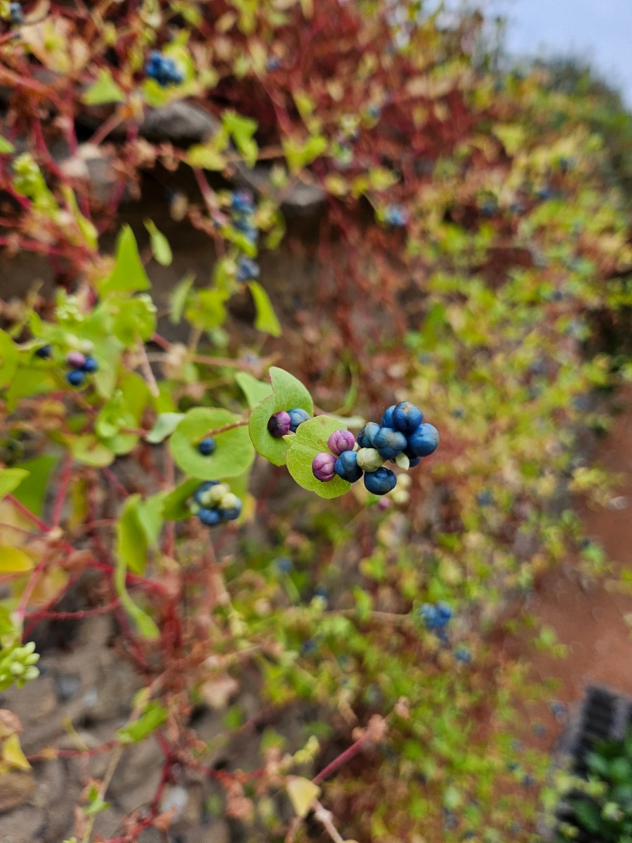 20241021%EF%BC%BF152828.jpg?type=w966