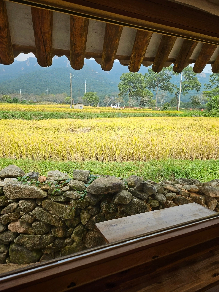 20241008%EF%BC%BF130641.jpg?type=w966