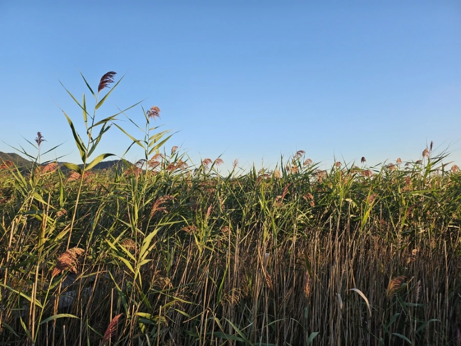 20241004%EF%BC%BF174043.jpg?type=w966