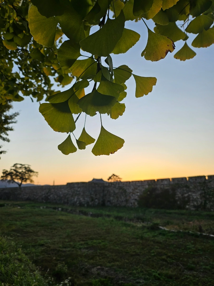 20241024%EF%BC%BF174024.jpg?type=w966