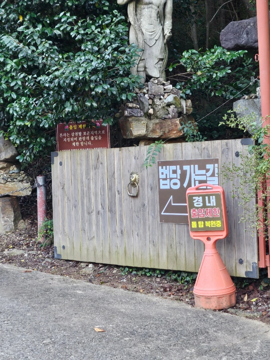 20241026%EF%BC%BF162308.jpg?type=w966