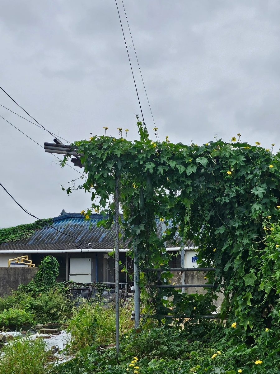 20241003%EF%BC%BF151019.jpg?type=w966