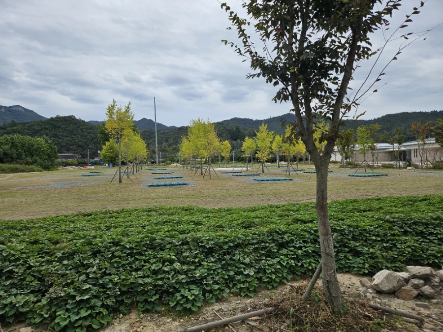 20241006%EF%BC%BF130934.jpg?type=w966