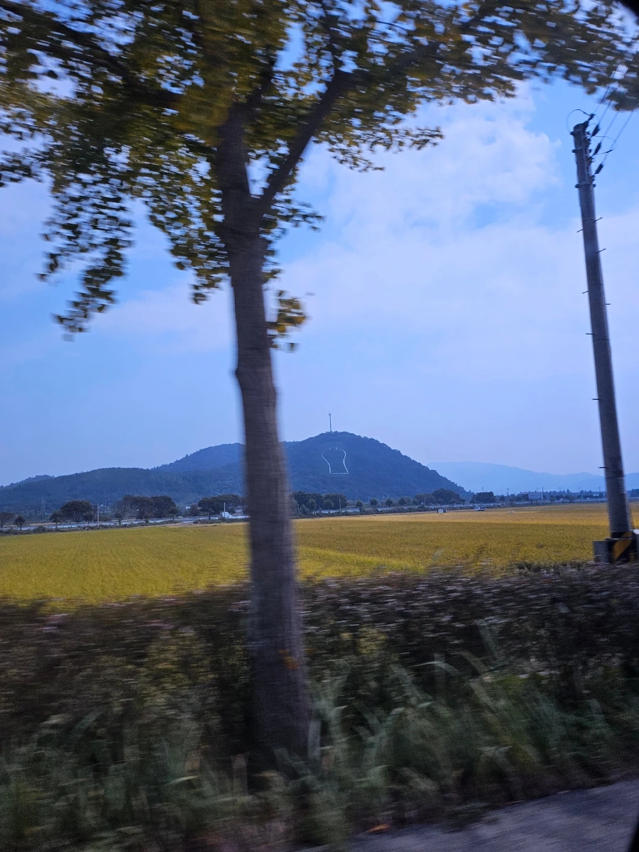 20241008%EF%BC%BF120639.jpg?type=w966