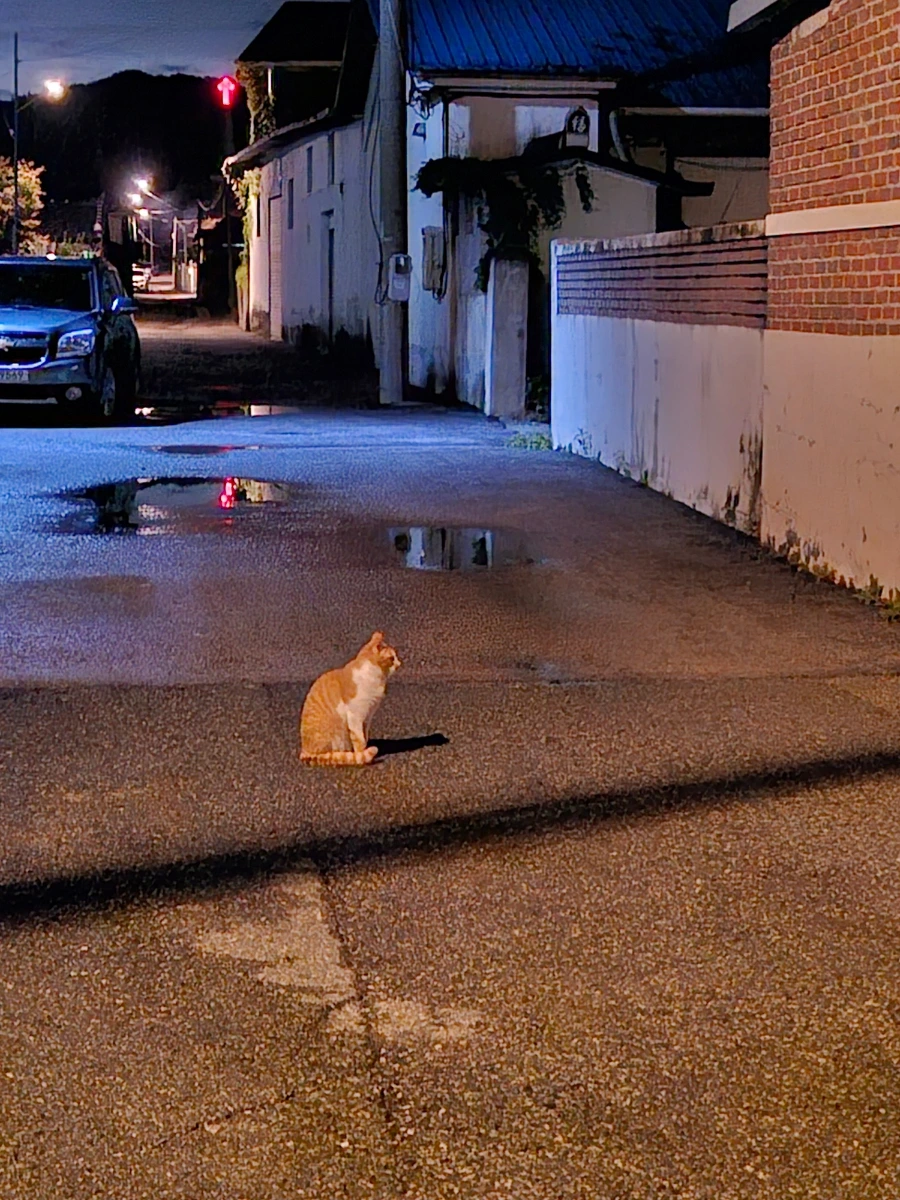 20241006%EF%BC%BF204233.jpg?type=w966