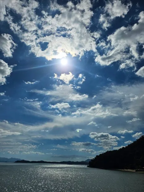 20241005%EF%BC%BF142825.jpg?type=w466