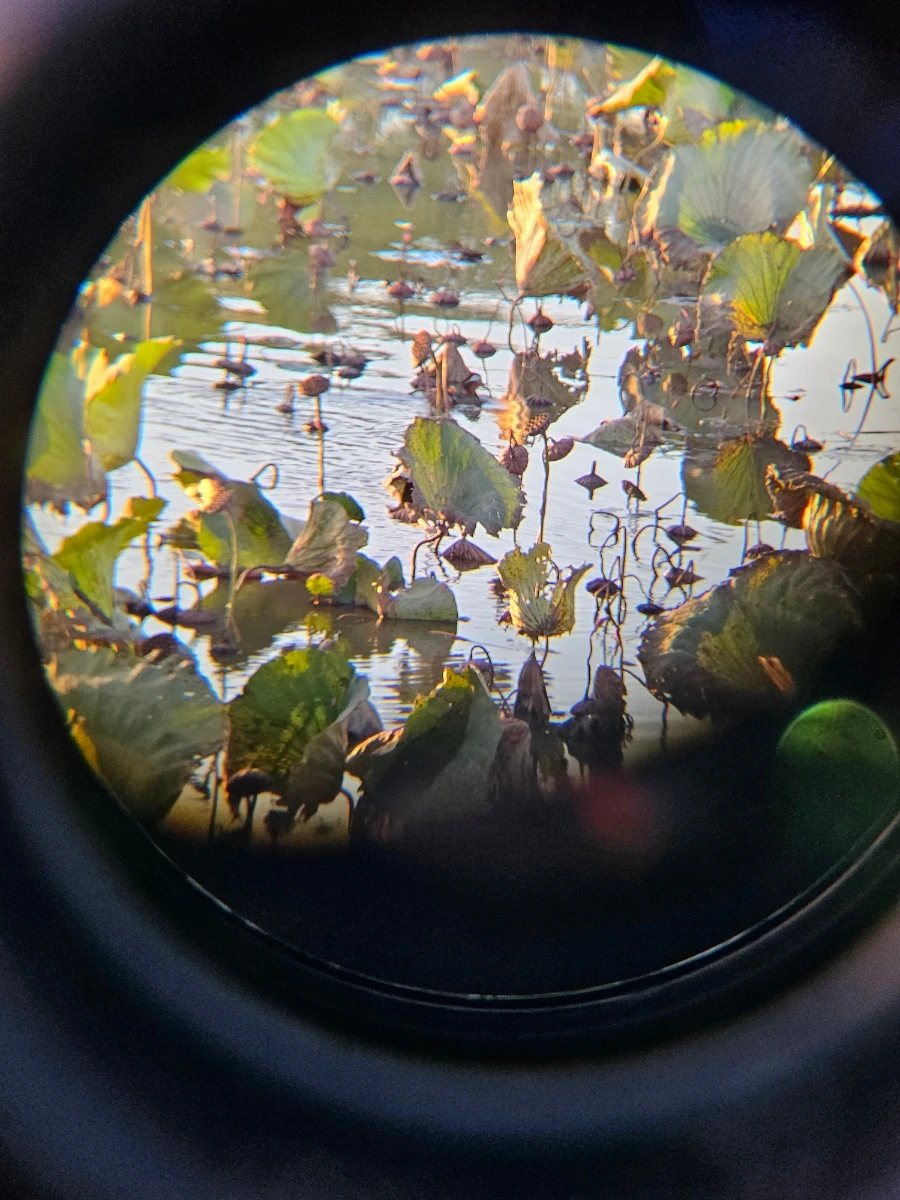 20241026%EF%BC%BF172226.jpg?type=w966