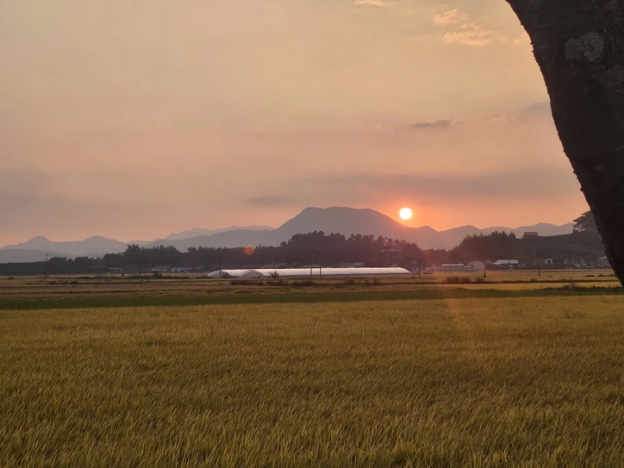 20241008%EF%BC%BF175214.jpg?type=w966