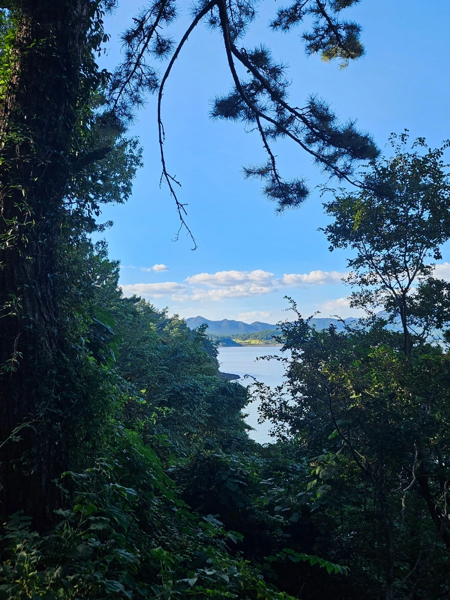 20241005%EF%BC%BF154610.jpg?type=w966