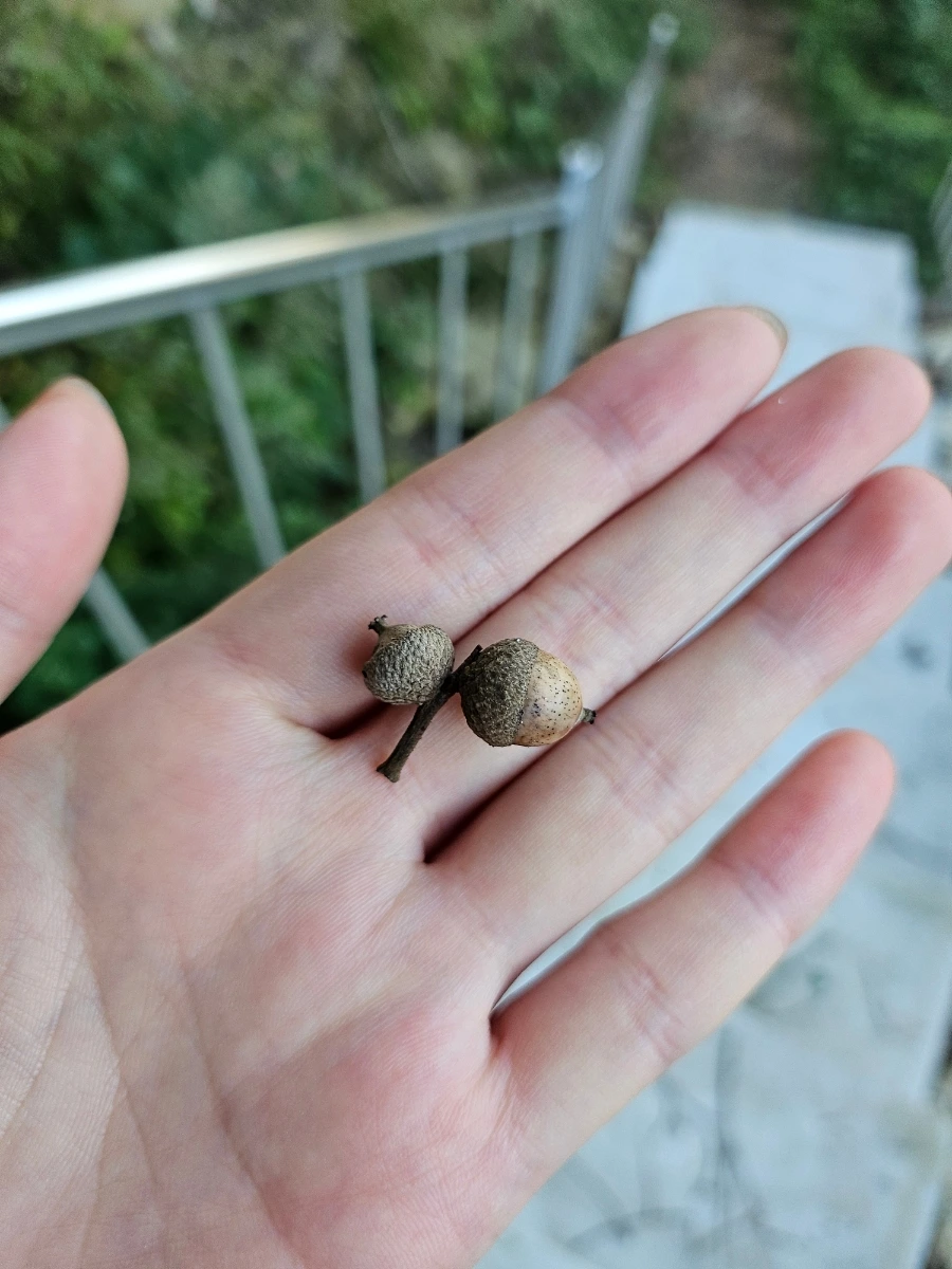 20241024%EF%BC%BF165919.jpg?type=w966