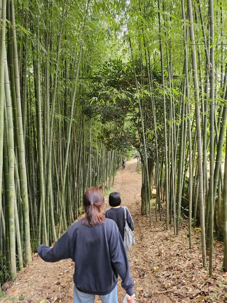 20241008%EF%BC%BF123033.jpg?type=w966