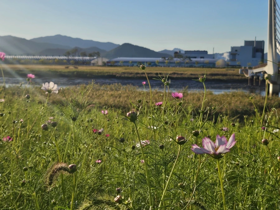 20241004%EF%BC%BF171214.jpg?type=w966