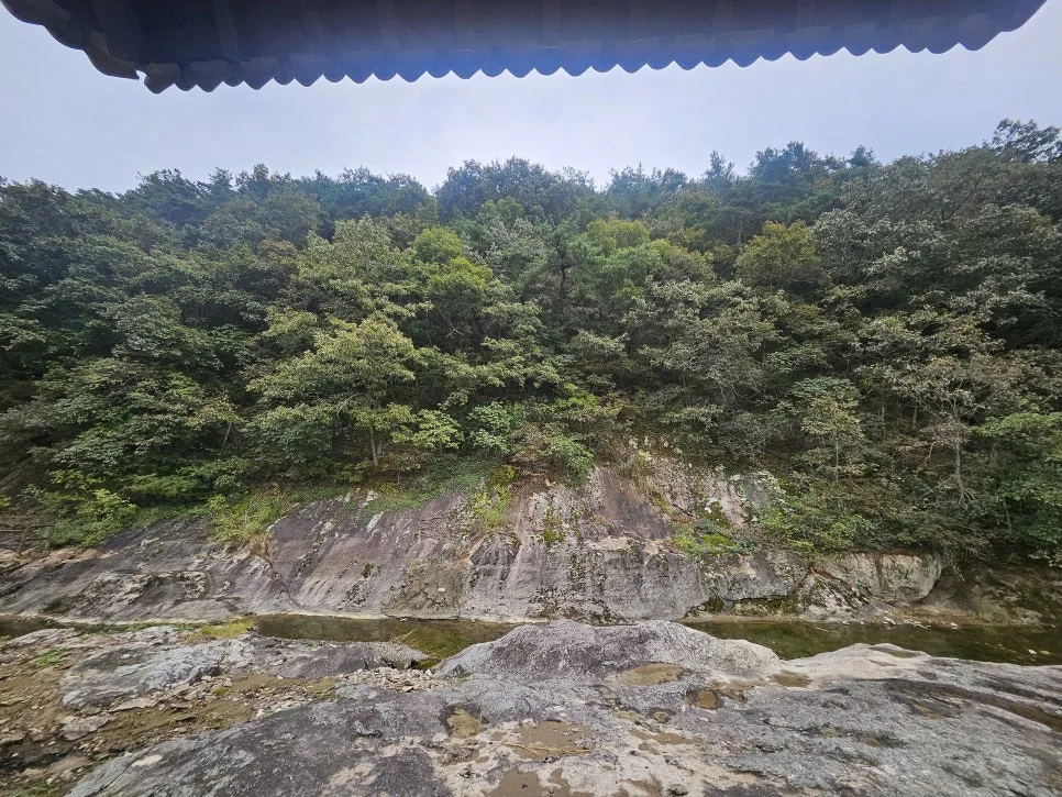 KakaoTalk_20241009_204645325.jpg?type=w966