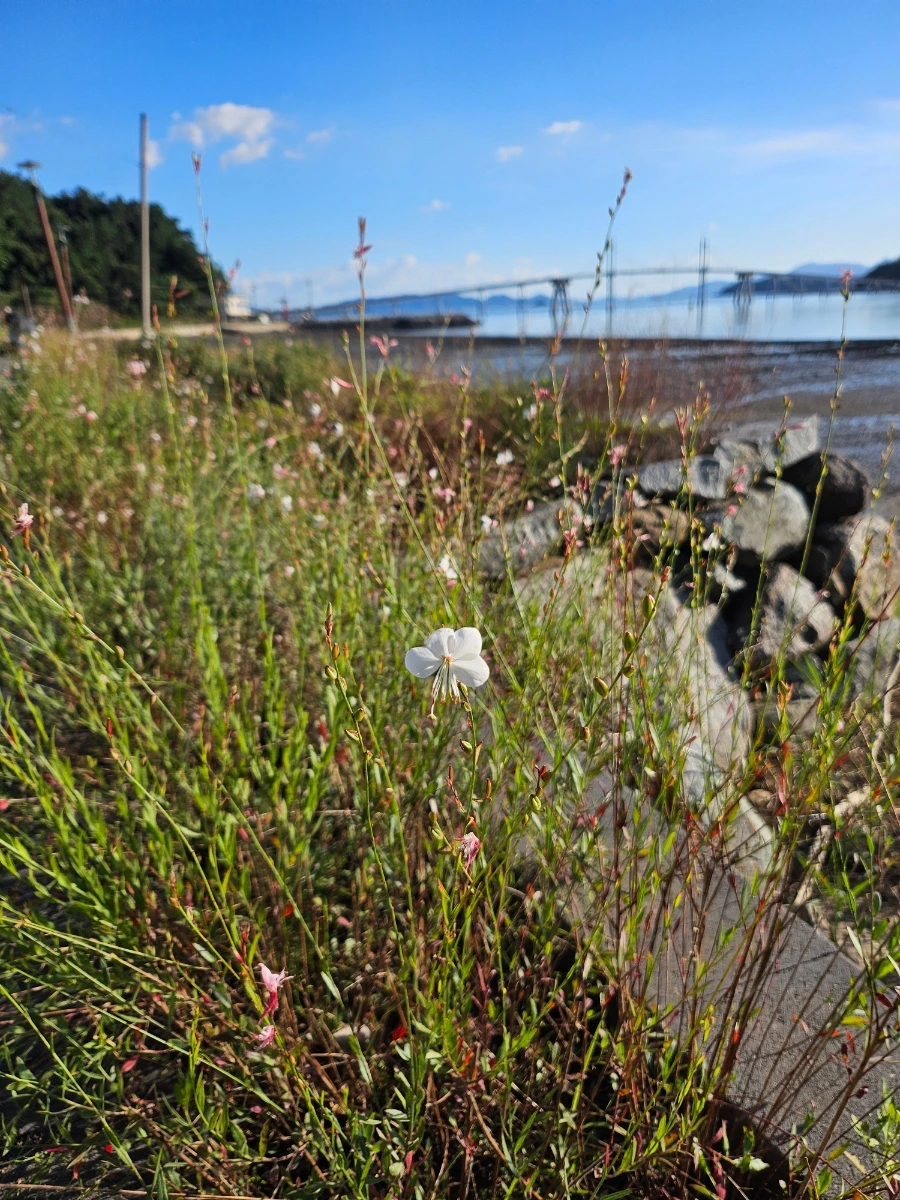 20241005%EF%BC%BF161638.jpg?type=w966