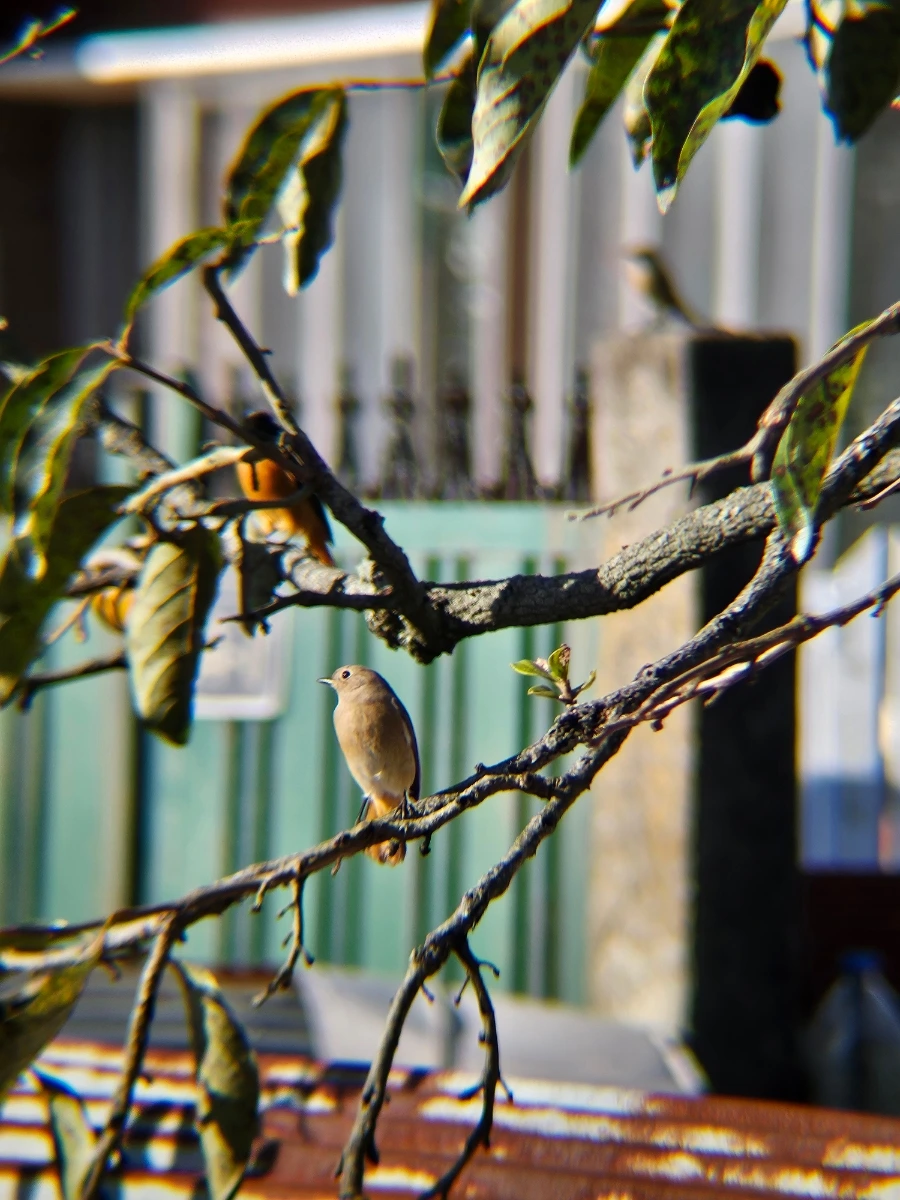 20241024%EF%BC%BF154354.jpg?type=w966