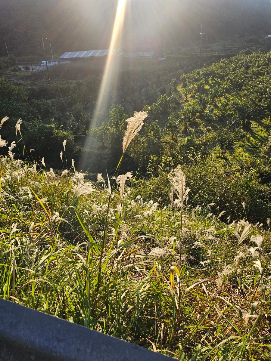 20241024%EF%BC%BF165023.jpg?type=w966