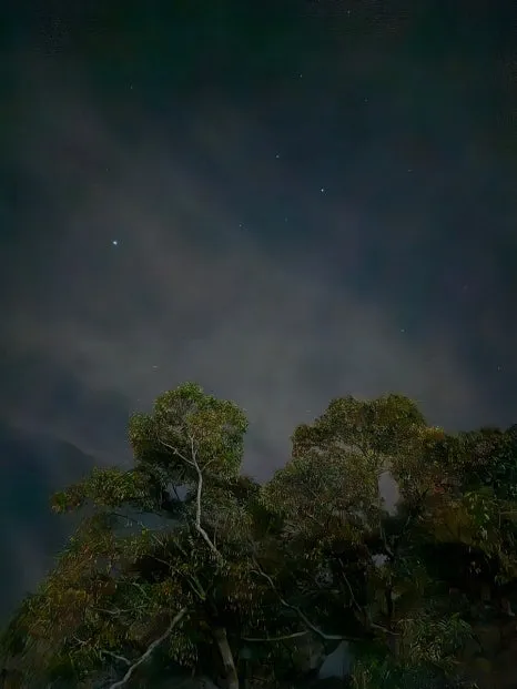 20241002%EF%BC%BF203509.jpg?type=w466