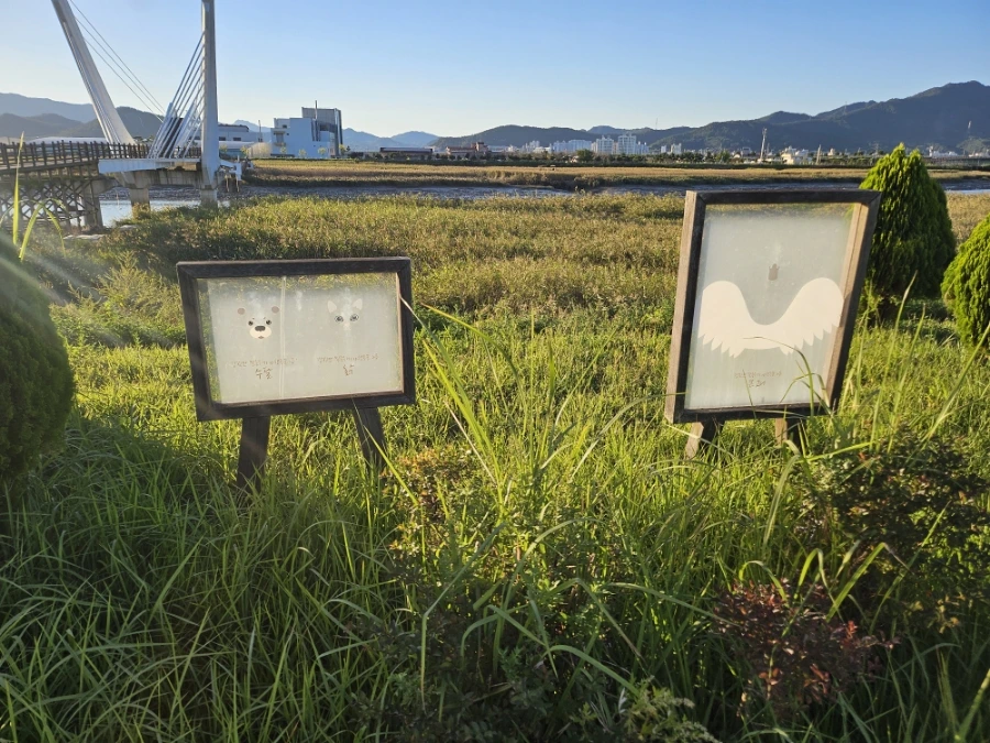 20241004%EF%BC%BF171347.jpg?type=w966