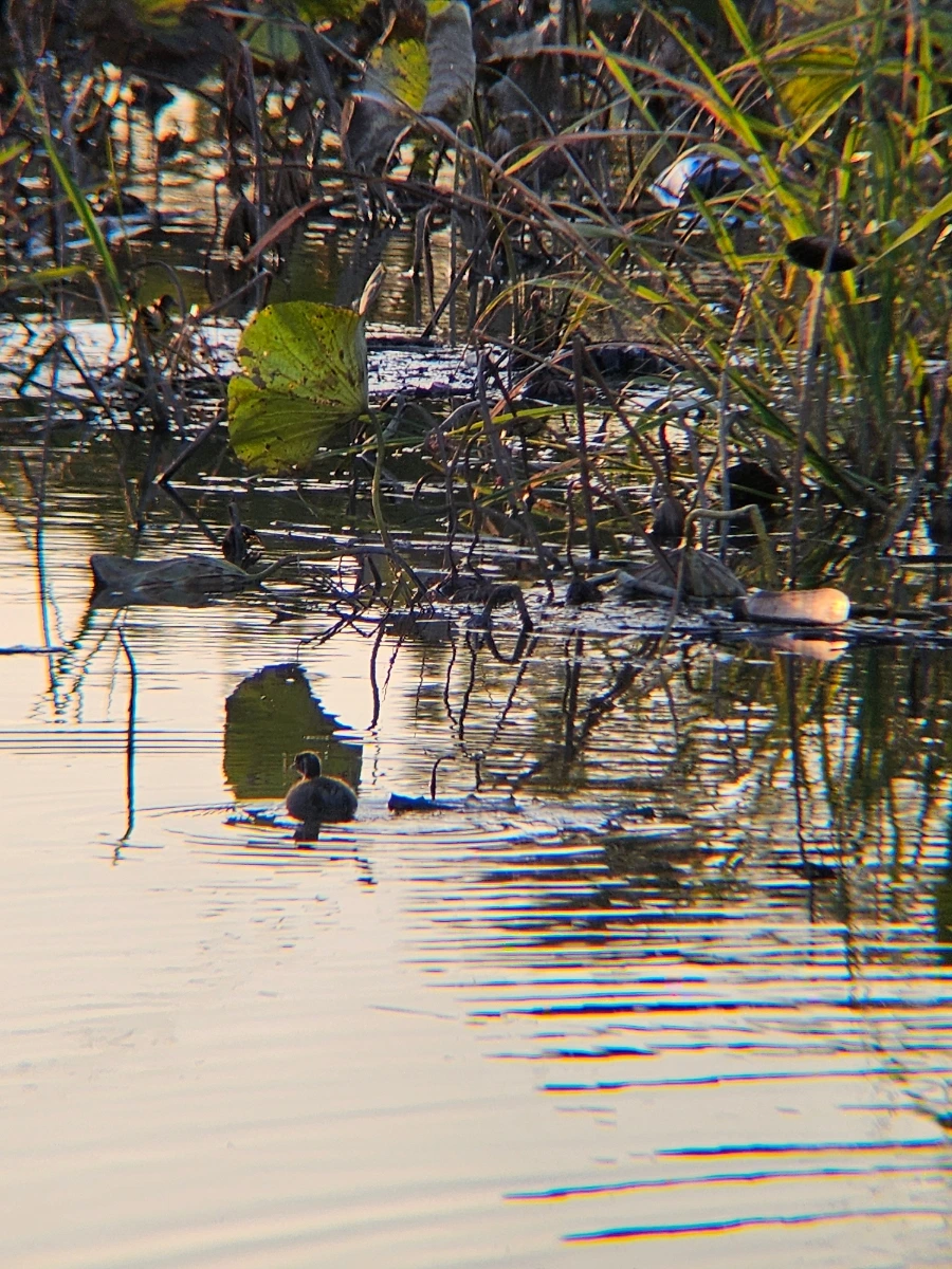 20241026%EF%BC%BF172559.jpg?type=w966