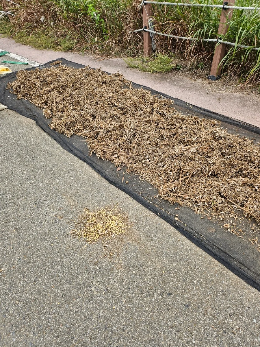 20241021%EF%BC%BF135054.jpg?type=w966