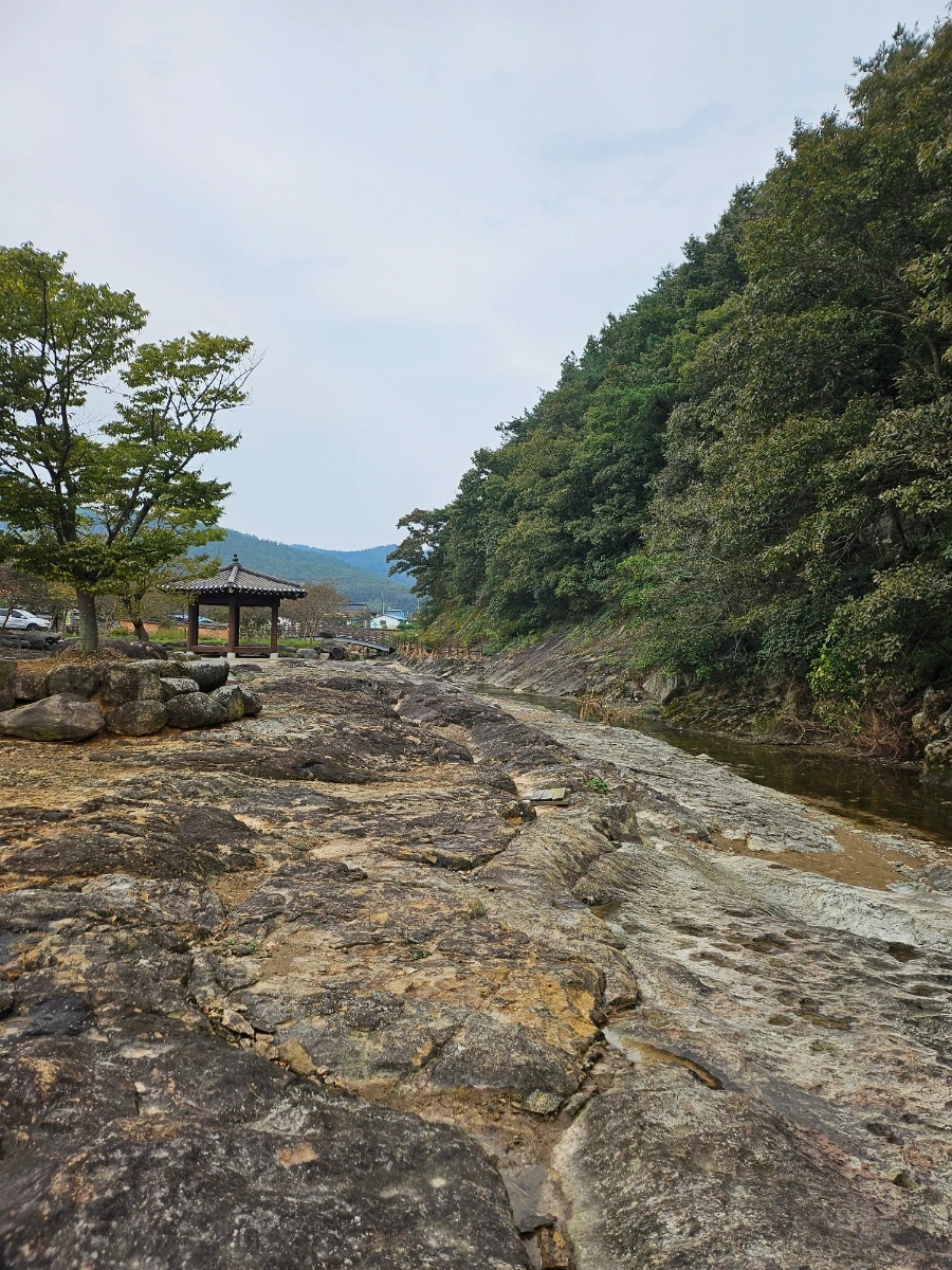 20241007%EF%BC%BF133005.jpg?type=w966