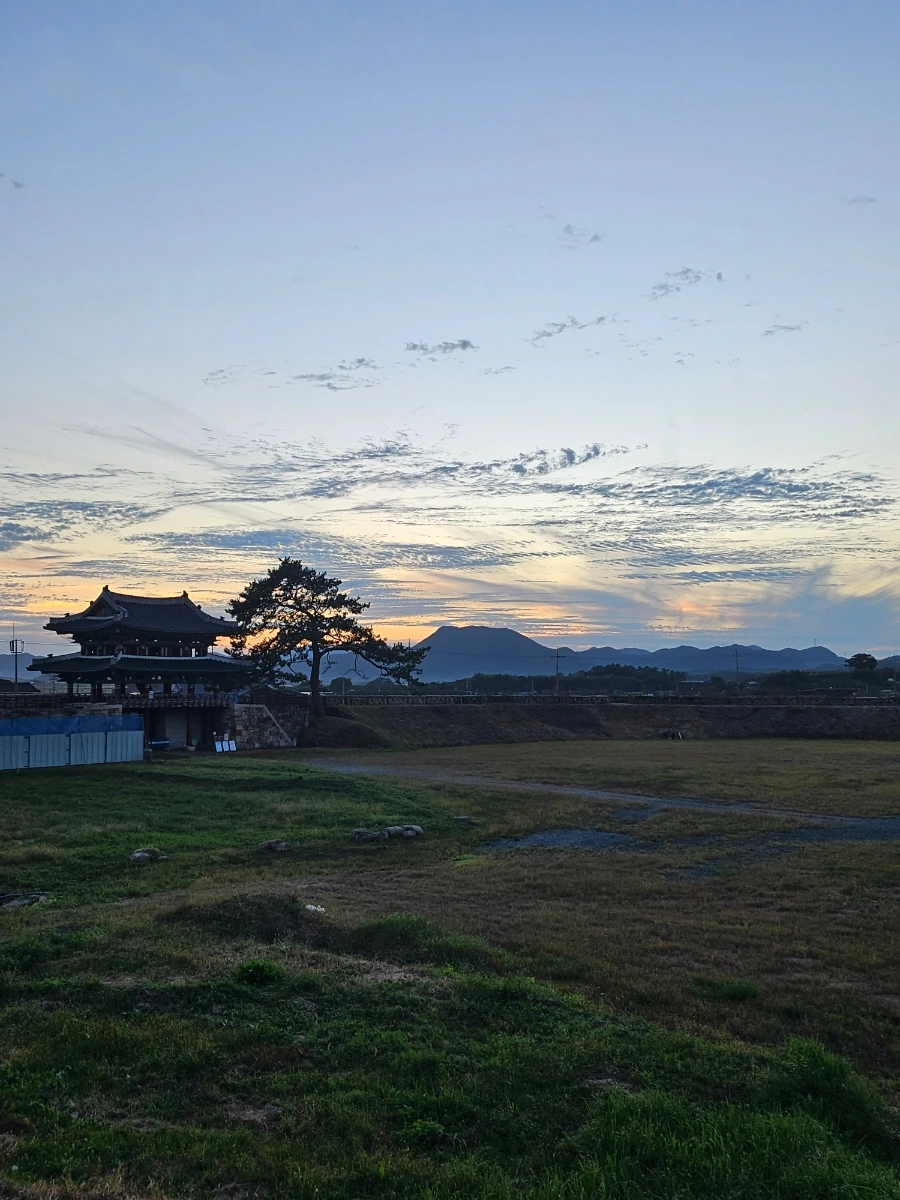 20241005%EF%BC%BF181435.jpg?type=w966