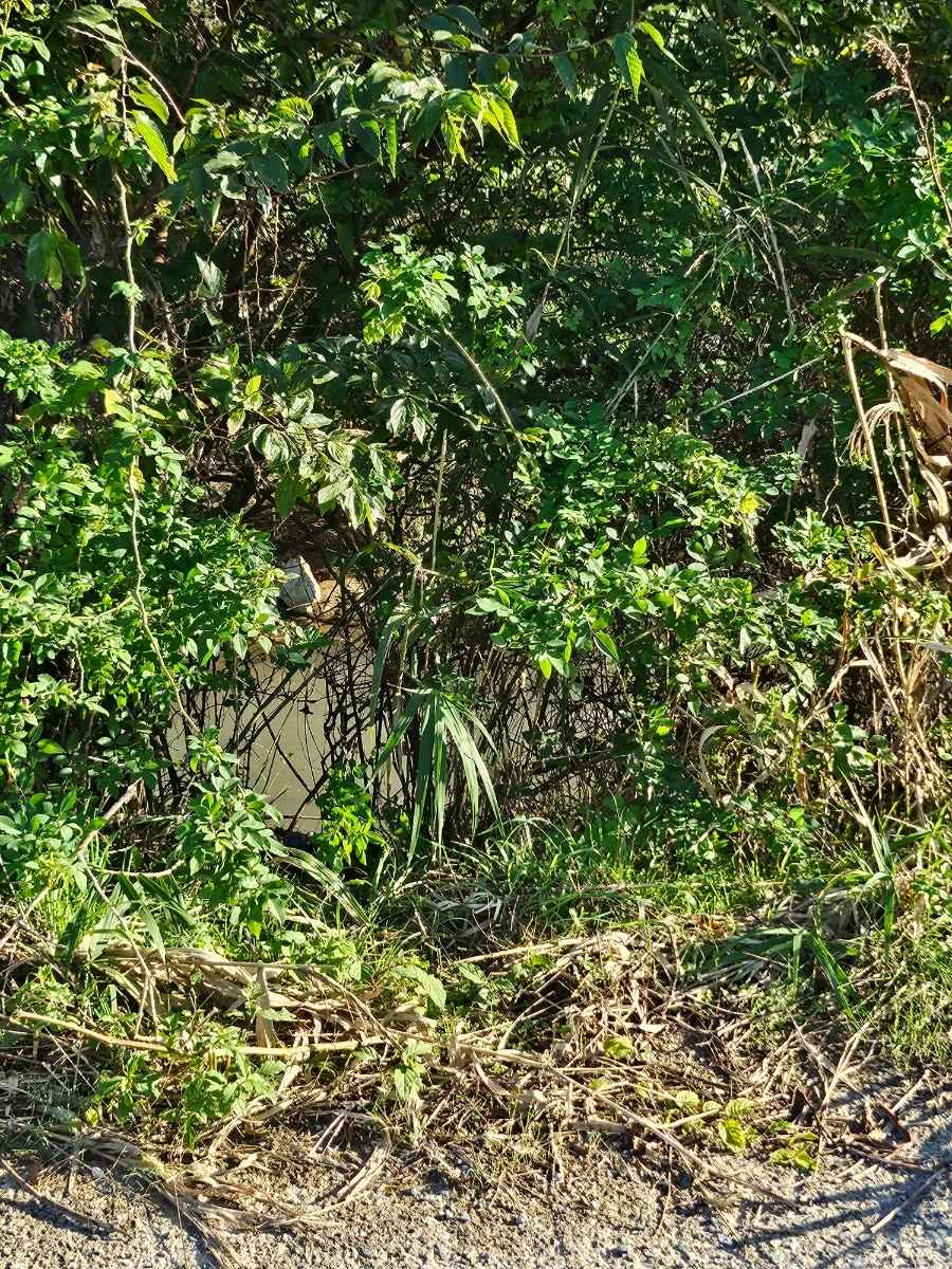 20241024%EF%BC%BF155900.jpg?type=w966