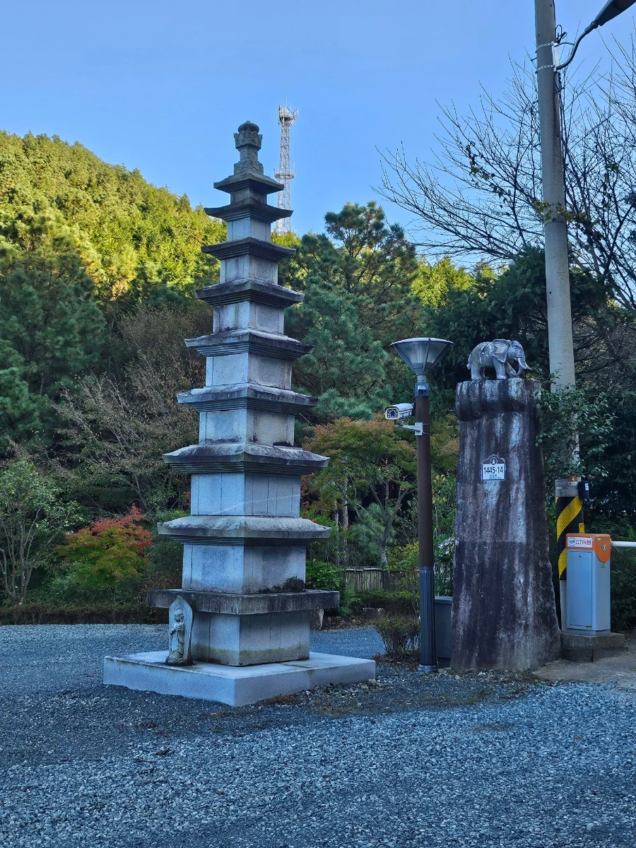 20241026%EF%BC%BF162256.jpg?type=w966