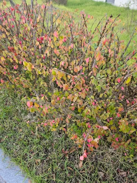 20241024%EF%BC%BF173409.jpg?type=w466