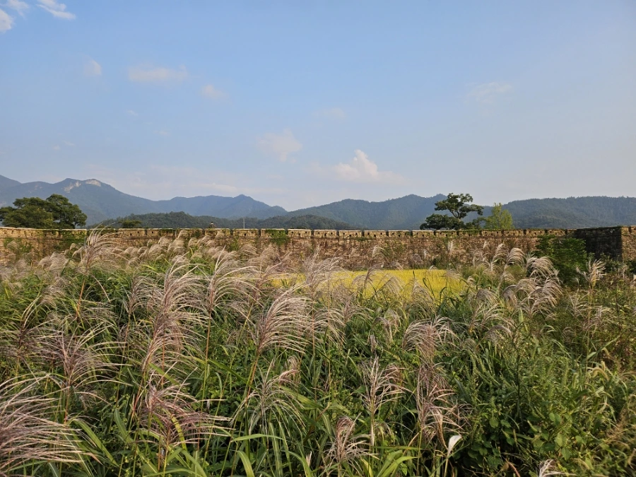 20241008%EF%BC%BF165744.jpg?type=w966