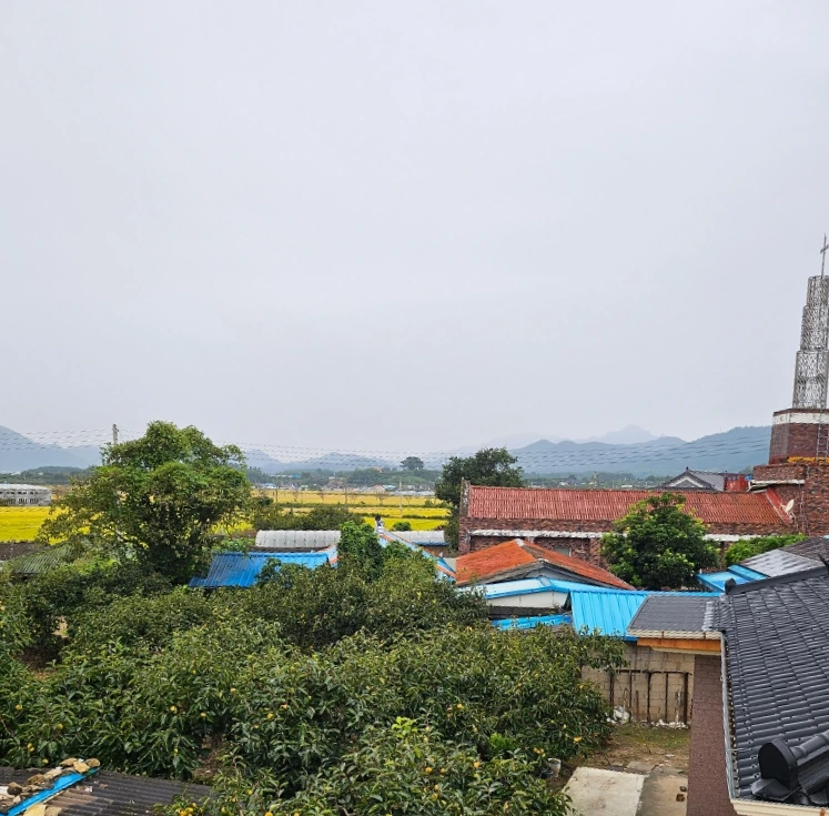 SE-d0bbc82d-8187-11ef-816c-95e742e093ef.jpg?type=w966