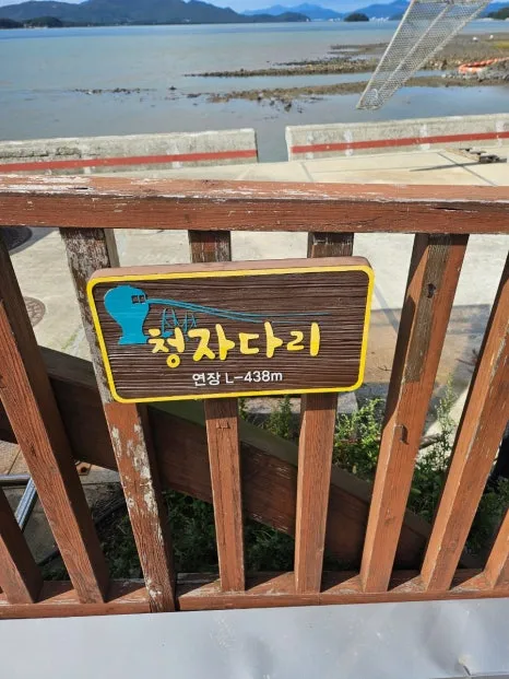 20241005%EF%BC%BF142526.jpg?type=w466