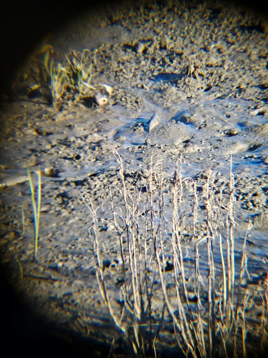 20241004%EF%BC%BF163213.jpg?type=w966