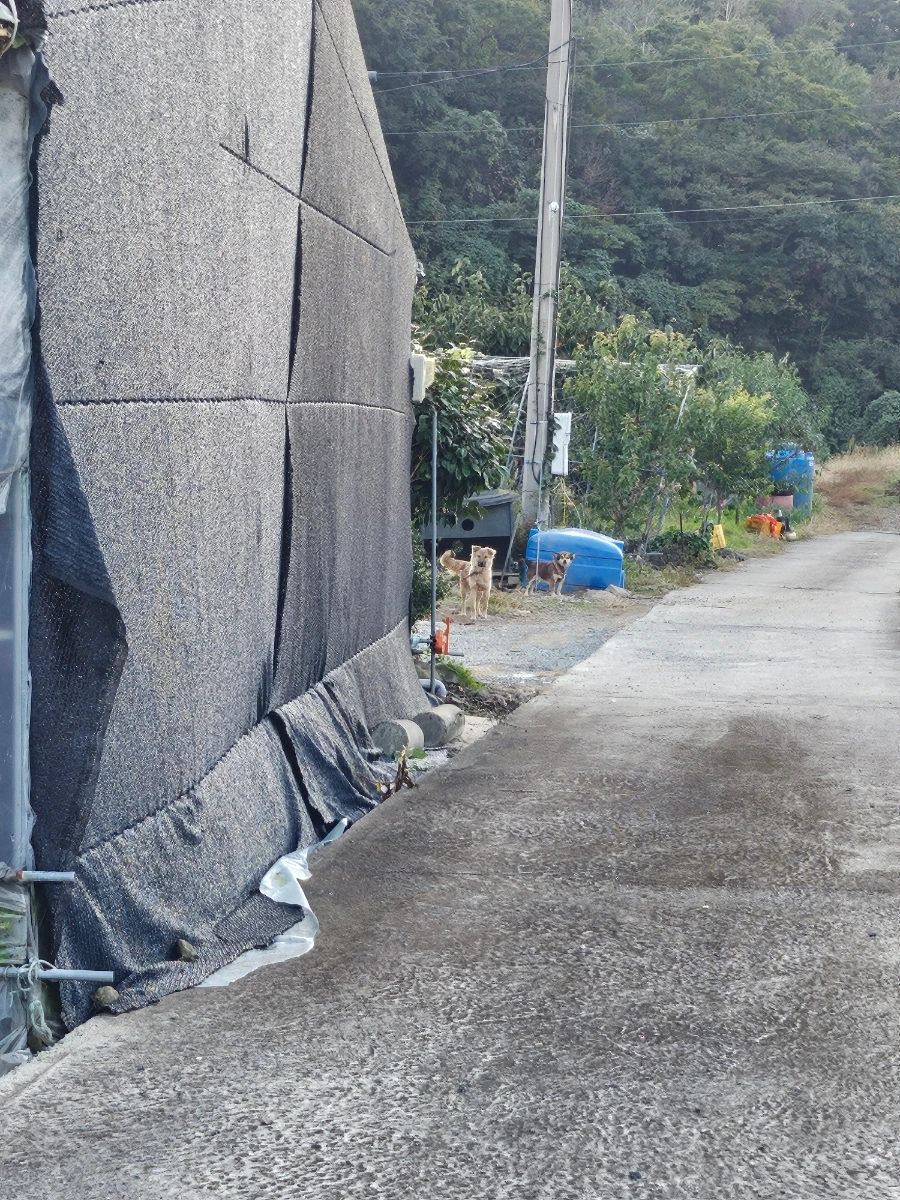 20241024%EF%BC%BF170625.jpg?type=w966