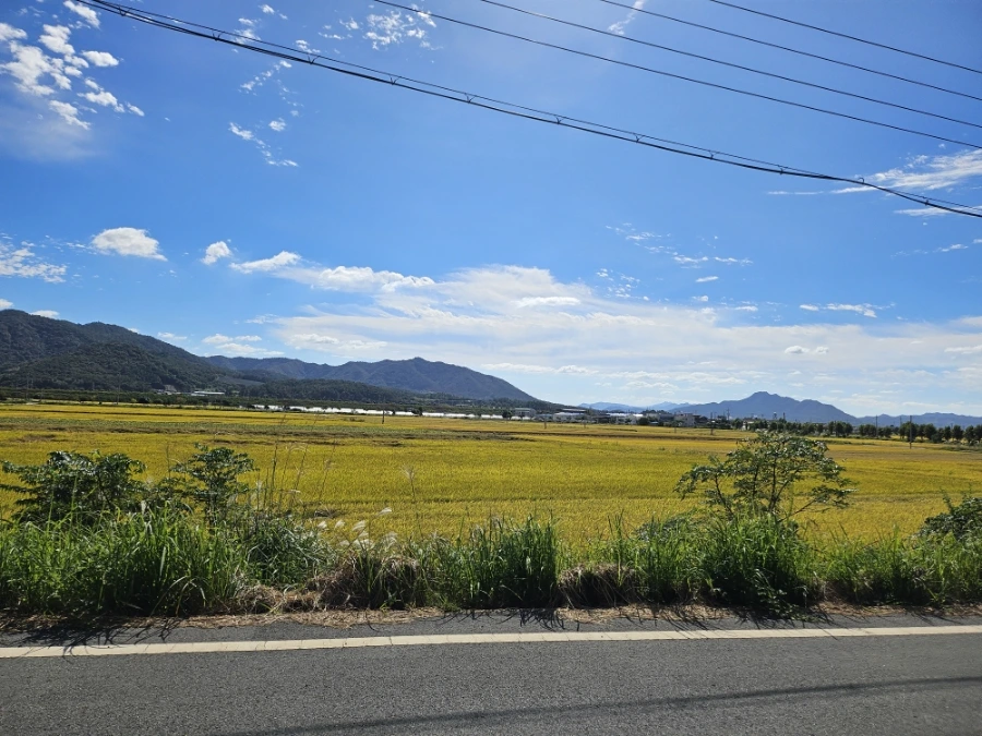 20241005%EF%BC%BF135510.jpg?type=w966