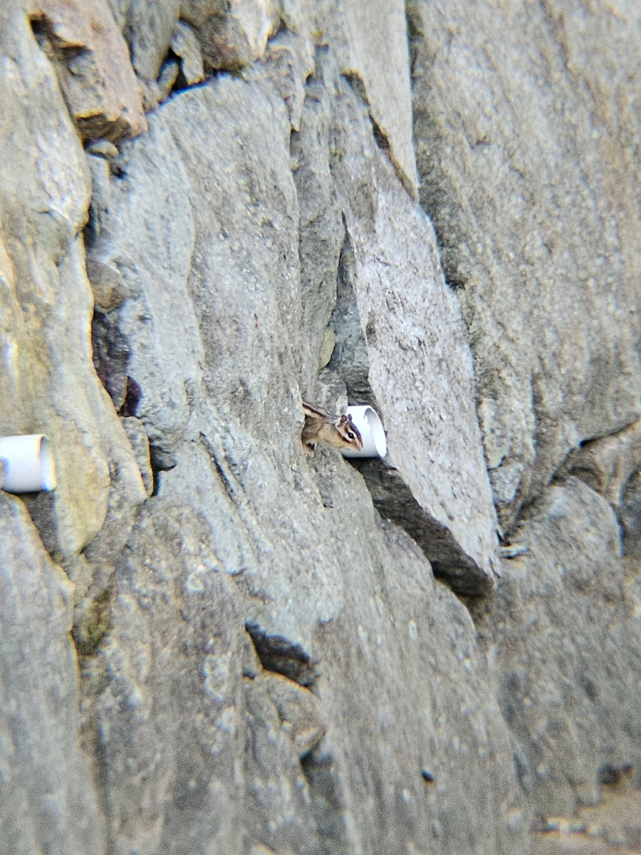 20241026%EF%BC%BF162737.jpg?type=w966