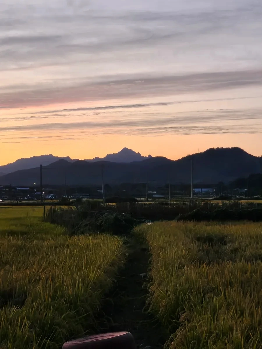 20241002%EF%BC%BF183213.jpg?type=w966