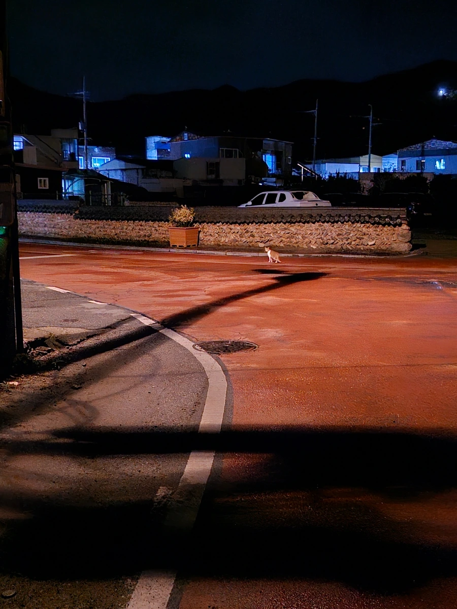 20241006%EF%BC%BF204055.jpg?type=w966