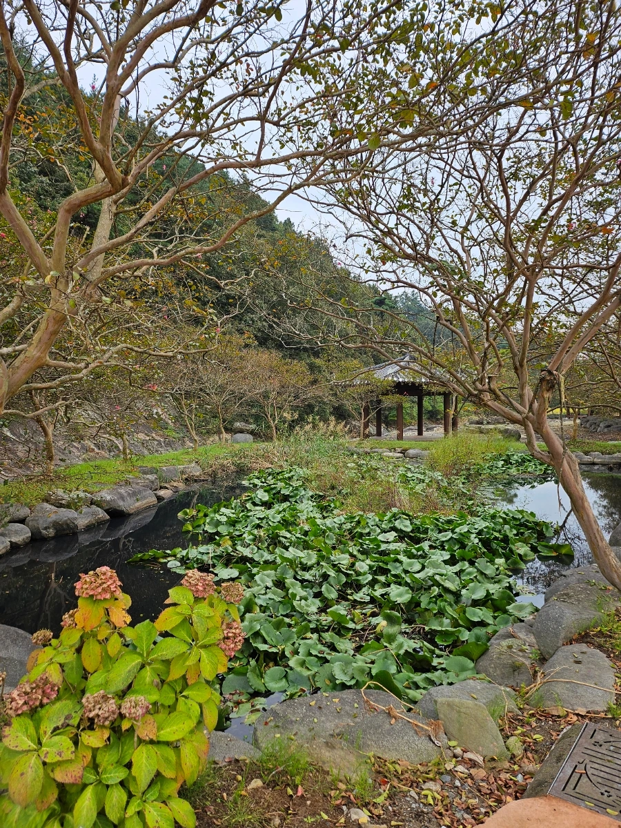 20241007%EF%BC%BF134015.jpg?type=w966