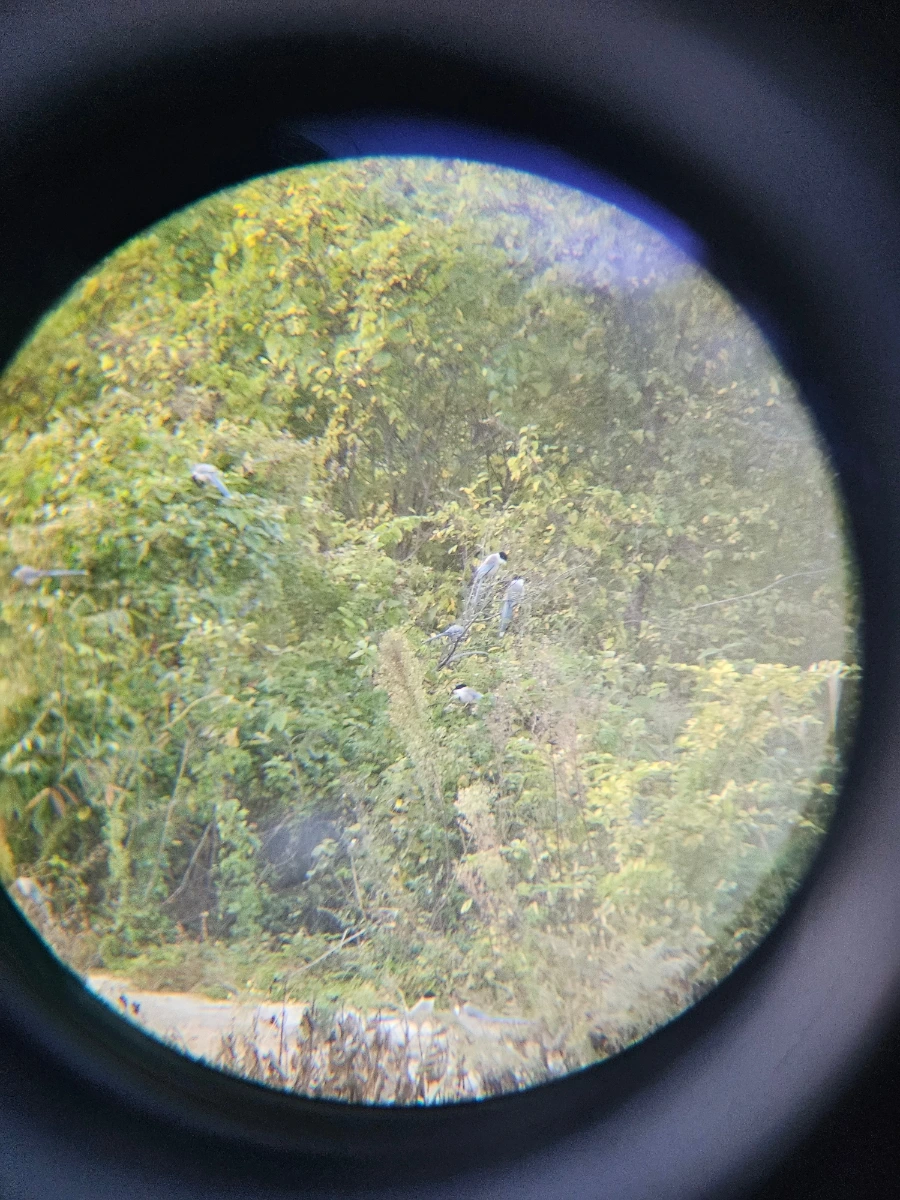 20241024%EF%BC%BF170247.jpg?type=w966