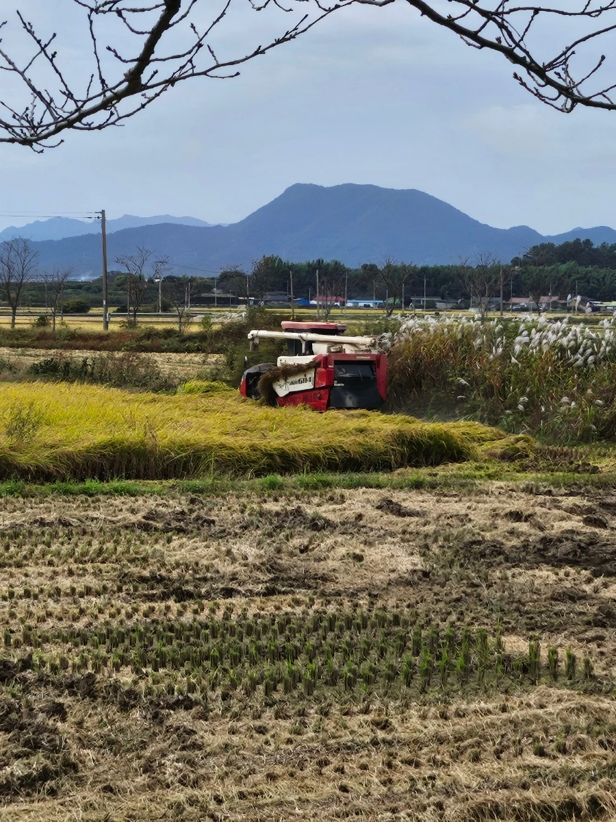 20241021%EF%BC%BF130417.jpg?type=w966